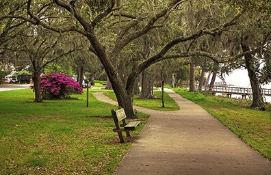 Path going through a park filled with trees