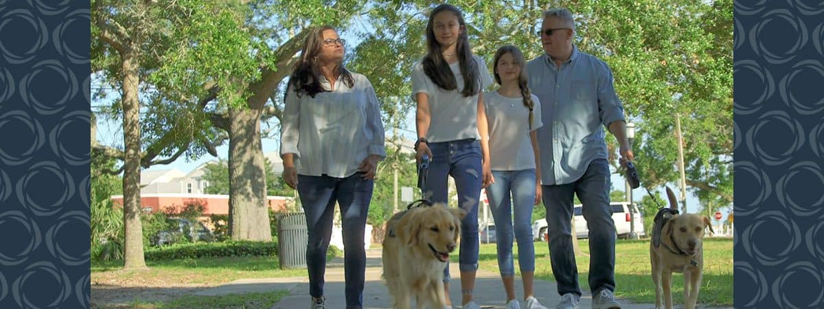 A family of four and their two dogs take a walk. 