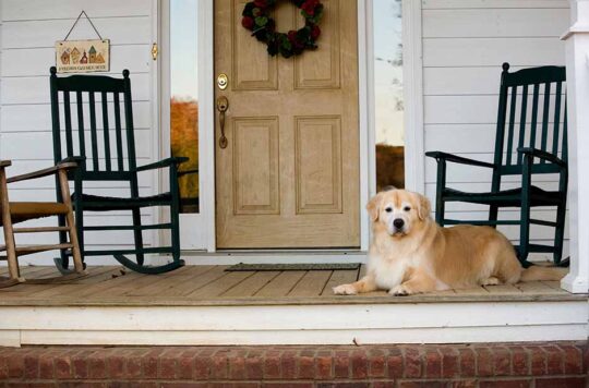Dog laying on a clutter-free front porch