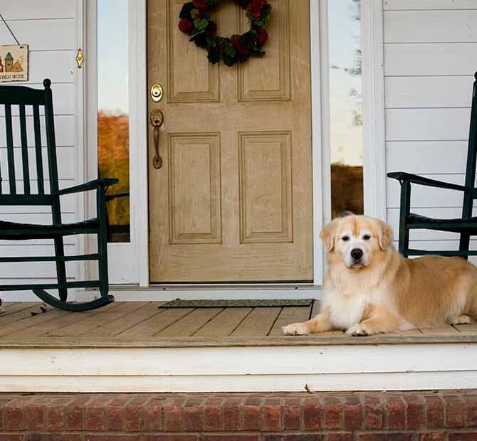 Dog laying on a clutter-free front porch