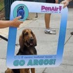 Let's Go Argos! PenAir @ Argo Village.